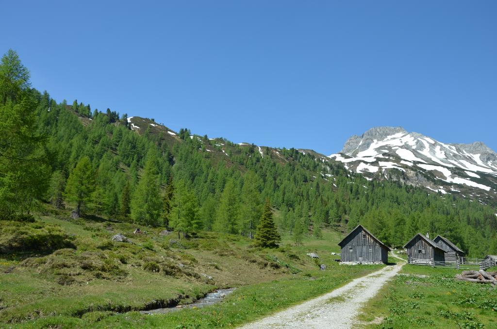 Appartement Urlaub Am Kraeutlhof In Mariapfarr Chambre photo